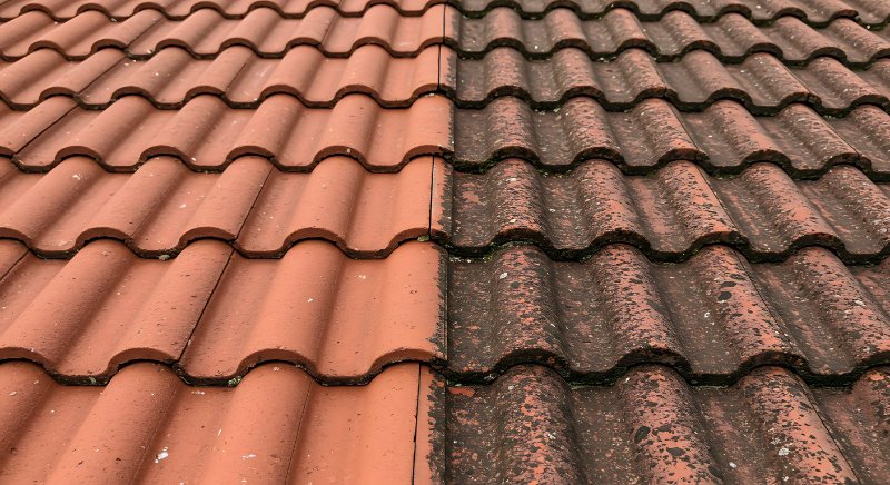 Roof & Gutter Cleaning Services
